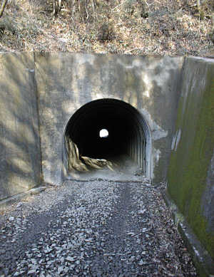 太白山 秋保鉄道跡のトンネル